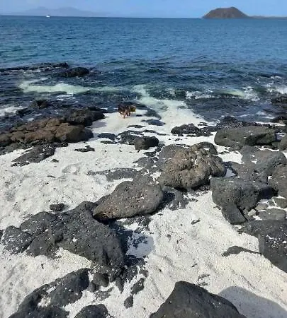 Caleta Fuerteventura 酒店 科斯塔德安提瓜