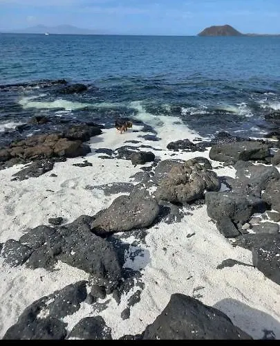 Caleta Fuerteventura فندق كوستا دي أنتيجوا